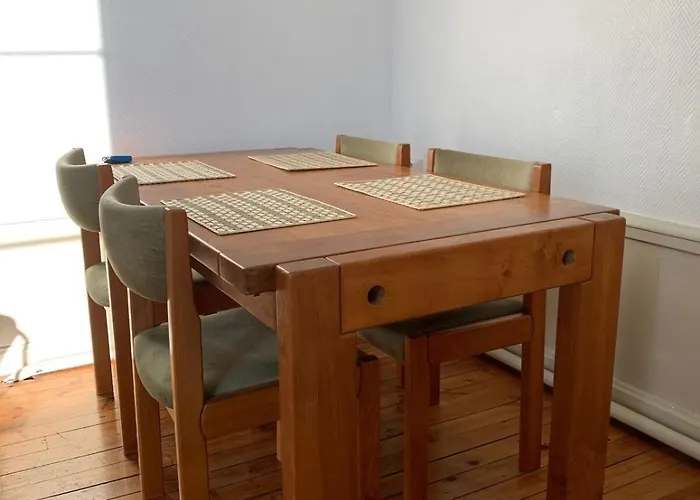 Spacieux Et Lumineux Place Delille شقة